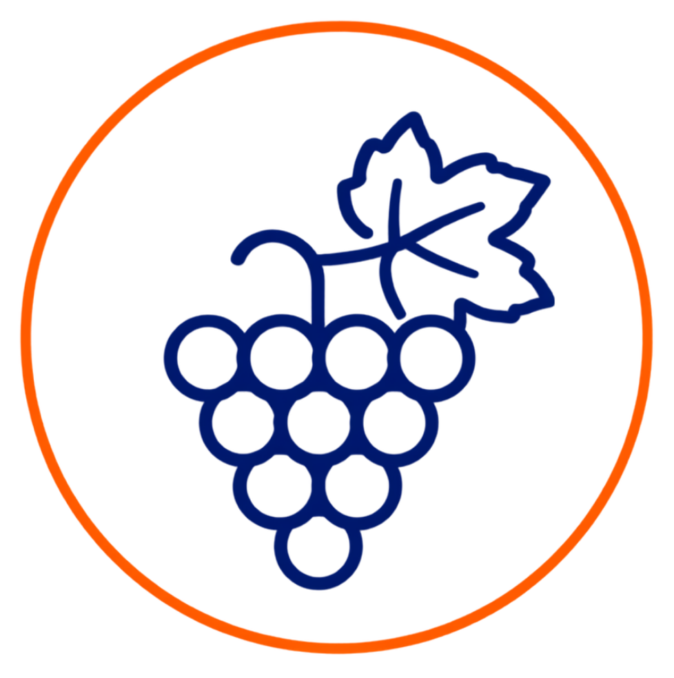 Wineries & Vineyards Icon
